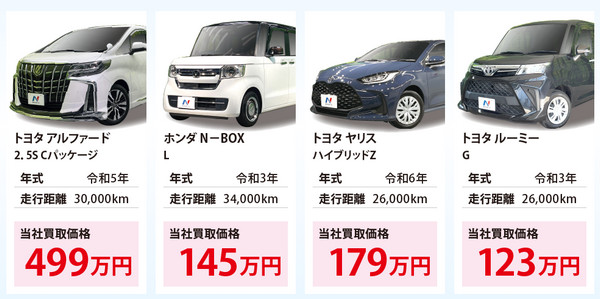 L2.�ꊇ����(SNC)